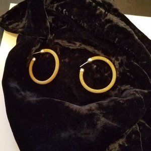 Big Hoop SS Earrings